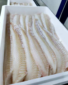 Dorsz Atlantycki filet, bez skóry, trymowany, 600-900g, 10kg BOX