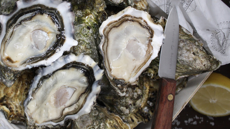 Ostryga La Jolie Mauger, Speciale Oyster, Les Huitres Mauger N°4 