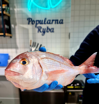 Dorada Różowa 0.8-1kg, 4/6kg BOX