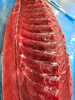 Atun rojo Azores, Tuńczyk blue fin polędwica świeża bez linii krwi w MAP, waga 3-5kg