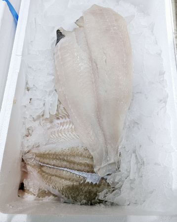 Gładzica Dolny Filet ze skórą 120+g 10kg BOX 